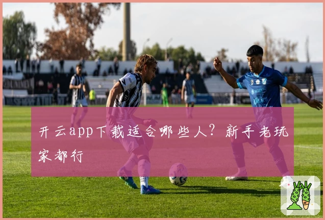 开云app下载适合哪些人？新手老玩家都行