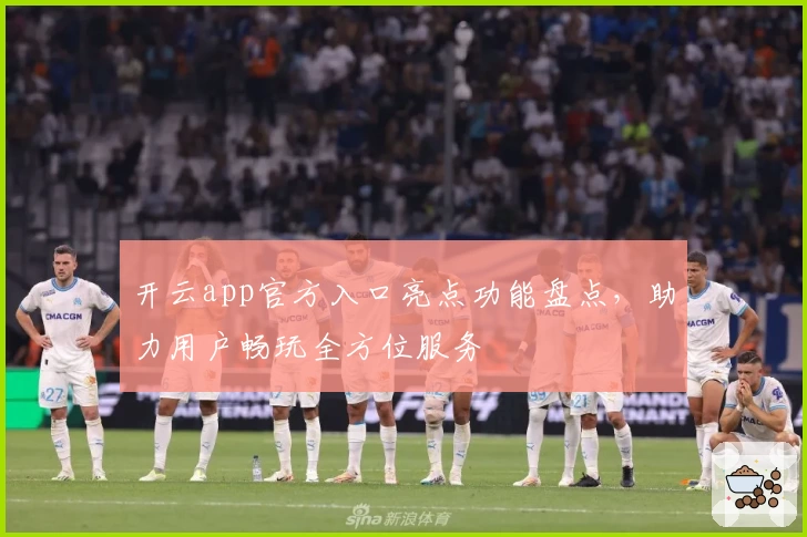 开云app官方入口亮点功能盘点，助力用户畅玩全方位服务