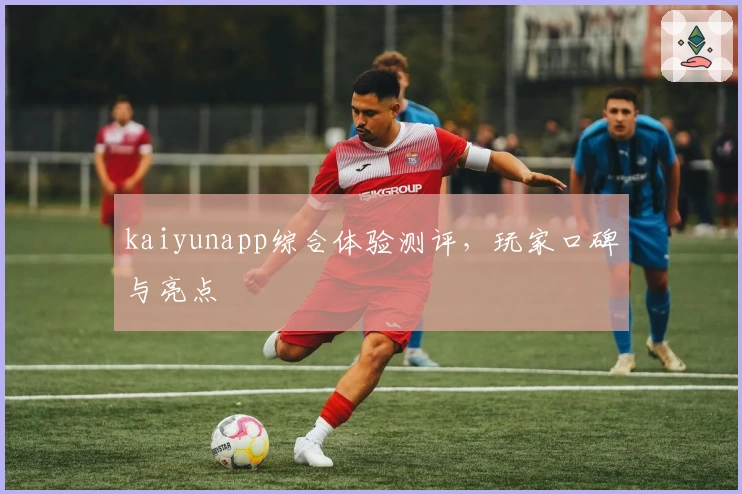 kaiyunapp综合体验测评，玩家口碑与亮点