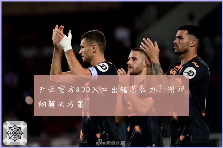 开云官方app入口出错怎么办？附详细解决方案