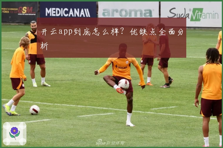 开云app到底怎么样？优缺点全面分析