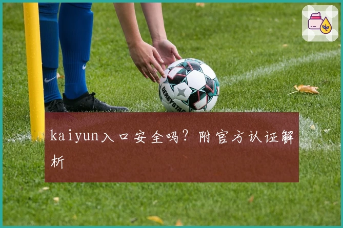 kaiyun入口安全吗？附官方认证解析